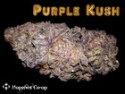 Picture for song 'Ku$h Ft: Dee Louis (Free Download)' by artist 'Dee Louis On The Beat'