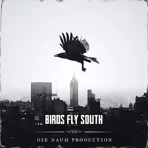 Picture for song 'BIRDS FLY SOUTH (Energetic Trap X Dark Type Beat)' by artist 'Die Naum Production'