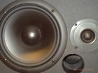 Picture for song 'SHOUT-- URBAN-DUB--MIKE K.mp3' by artist 'don't believe you'