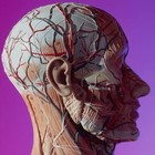 Picture for song 'ONMYMIND_Double_H_Groovy_bpm91' by artist 'DOUBLE H GROOVY free beats'