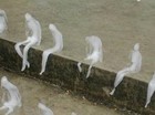 Picture for song 'COOL PARADOX - CBC 6/30/12 Chill Out Fest' by artist 'Dr. Bob's Jazz - Benefit Boppin' Quartet - JBBQ'