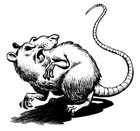 Picture for song 'Rattle inside the box (Dj Ace XIV).mp3' by artist '!Electric Contact!'