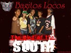cover pic