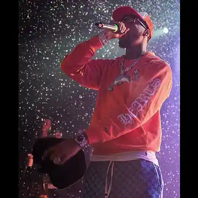 Picture for song 'SOUTHERN SCARS' by artist 'HOLLYWOOD LEGEND PRODUCTIONS'