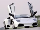Picture for song 'White Everything' by artist 'Hush Dat Fuss Productions'