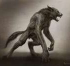 Picture for song 'The Beast' by artist 'iisee'