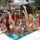 Picture for song 'Pool Party | FREE DEMO DL' by artist 'JCaspersen'