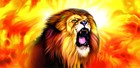 Picture for song 'NEVER GONNA STOP' by artist 'KINGZSONZ'