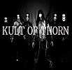 Picture for song 'Ghost Plague Dimension' by artist 'Kult of Thorn'