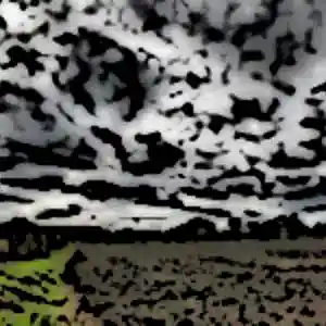 Picture for song 'Rain on Fields' by artist 'Larry Ludwick'