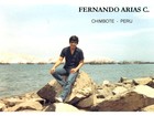 Picture for song 'ABRAZAME ESCUCHAME ( canta. fernando arias )' by artist 'LOS PASTELES VERDES DEL PERU'