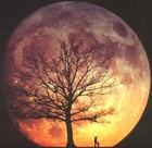 Picture for song 'Bleibe Stark - Sk.O' by artist 'LostEmotionSound'