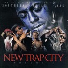 Picture for song 'TRAP CITY' by artist 'MoneyMotivatedMuSic'