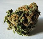 Picture for song 'gimme the weed..fhada' by artist 'moziah house'