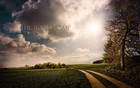 Picture for song 'The Road Home' by artist 'Mr Grant'