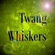Picture for song 'JamStudio AcousticSeries- Twang Whiskers' by artist 'Numi Who'