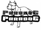 Picture for song 'Paradog Beatz_0001' by artist 'Paradog Beatz'