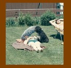 Picture for song 'Good Day (To Do Nothin')' by artist 'Pete Dowan'