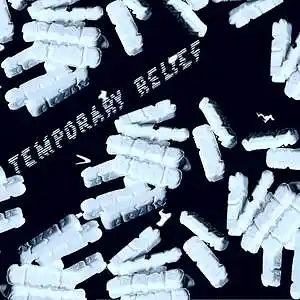 Picture for song 'Temporary Relief' by artist 'Prod. Glass'