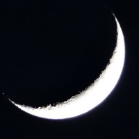 Picture for song 'PAy me now.MowtherTuckTherdsTruckSuckers' by artist 'Queen Nefer Aset Titi Cleo She Bah and ?'