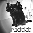 Picture for song 'I Keep Losing Heart' by artist 'RADIO-LAB'