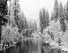 Picture for song 'Snowfall Instrumental prod. by Prince Charming' by artist 'Royalty Rekords'