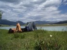 Picture for song 'Armonio: Trigo y miel' by artist 'Sello Suicida Recordings'