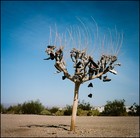 Picture for song 'Never Goes Away' by artist 'Speechless Music'