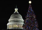 Picture for song 'Washington's Favorite Things' by artist 'Steve Bryant'