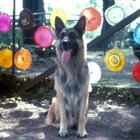 Picture for song 'Memories Are So Hard To Explain' by artist 'Taggy Lee'