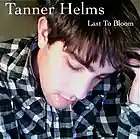 Picture for song 'Love Song' by artist 'Tanner Helms'