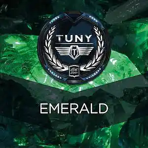 Picture for song 'Emerald' by artist 'Tuny Beats'