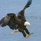 Picture for song 'Catch Down' by artist 'VinsaneProductions'