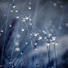 Picture for song 'RAINY DAYS' by artist 'YB MUZiK'