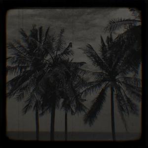 Picture for song 'therealworld' by artist 'yungshazl'