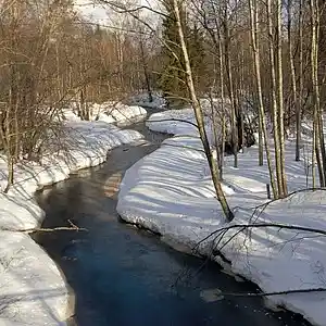 Picture for song 'Spring streams' by artist 'allbestok'