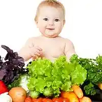 Picture for song 'Love to Eat My Greens' by artist 'Bevs New World'