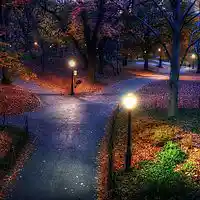Picture for song 'Scattered Leaves October Evening' by artist 'Rusted by Autumn'