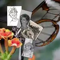 Picture for song 'Flashback' by artist 'Butterfly Lessons - Betsy Bolger Paulet poetry'