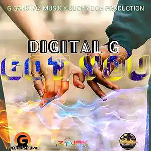 Picture for song 'Digital G - Got You' by artist 'Digital G'