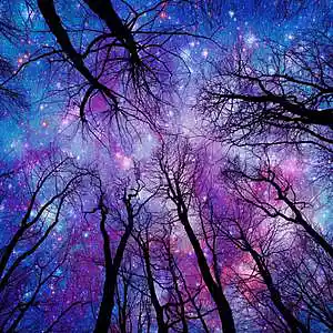 Picture for song '[FREE] Starlight' by artist 'kebety katma'