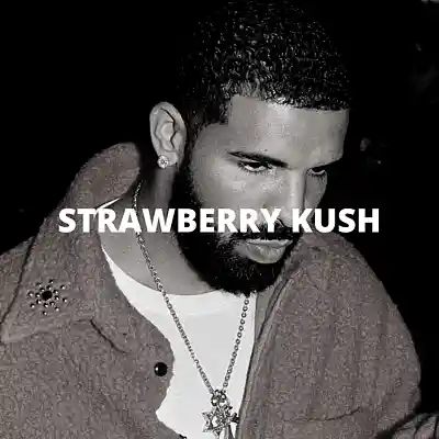 Picture for song 'Strawberry Kush (Buy 1 Get 10 Free)' by artist 'Kontraa'