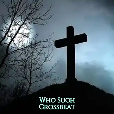 Picture for song 'Who such-crossbeat' by artist 'Who such'