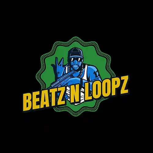Picture for song 'YEARS PASSED - INSTRUMENTAL' by artist 'BEATZ N LOOPZ'