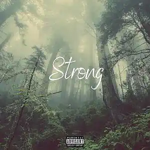 Picture for song 'Strong' by artist 'Beats by Pixel'
