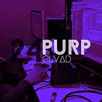 Picture for song 'Purp (808 Mafia Type Beat)' by artist 'CLYAD'