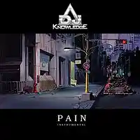 Picture for song 'DJ Knowlede - Pain' by artist 'DJ Knowledge 354'