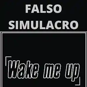 Picture for song 'Wake Me Up' by artist 'Falso Simulacro'