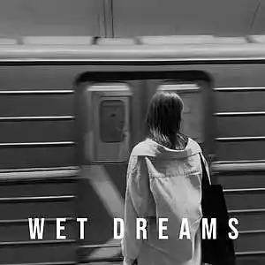 Picture for song 'Wet Dreams' by artist 'Mowj'