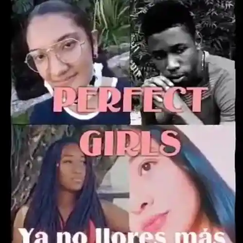 Picture for song 'Ya no llores mas - Perfect Girls' by artist 'Perfect Girls'